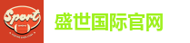 盛世国际